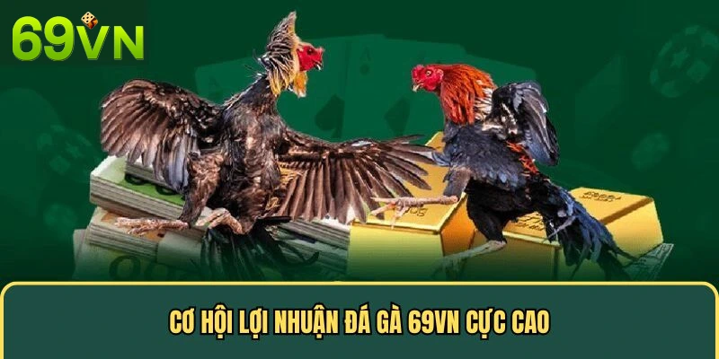 Cơ hội lợi nhuận đá gà 69VN cực cao