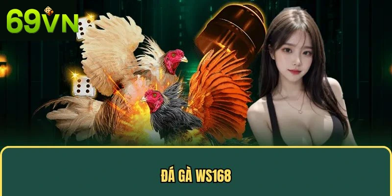 Thương hiệu đá gà Ws168 nổi bật