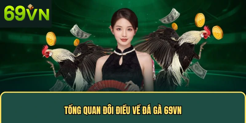 Tổng quan đôi điều về đá gà 69VN